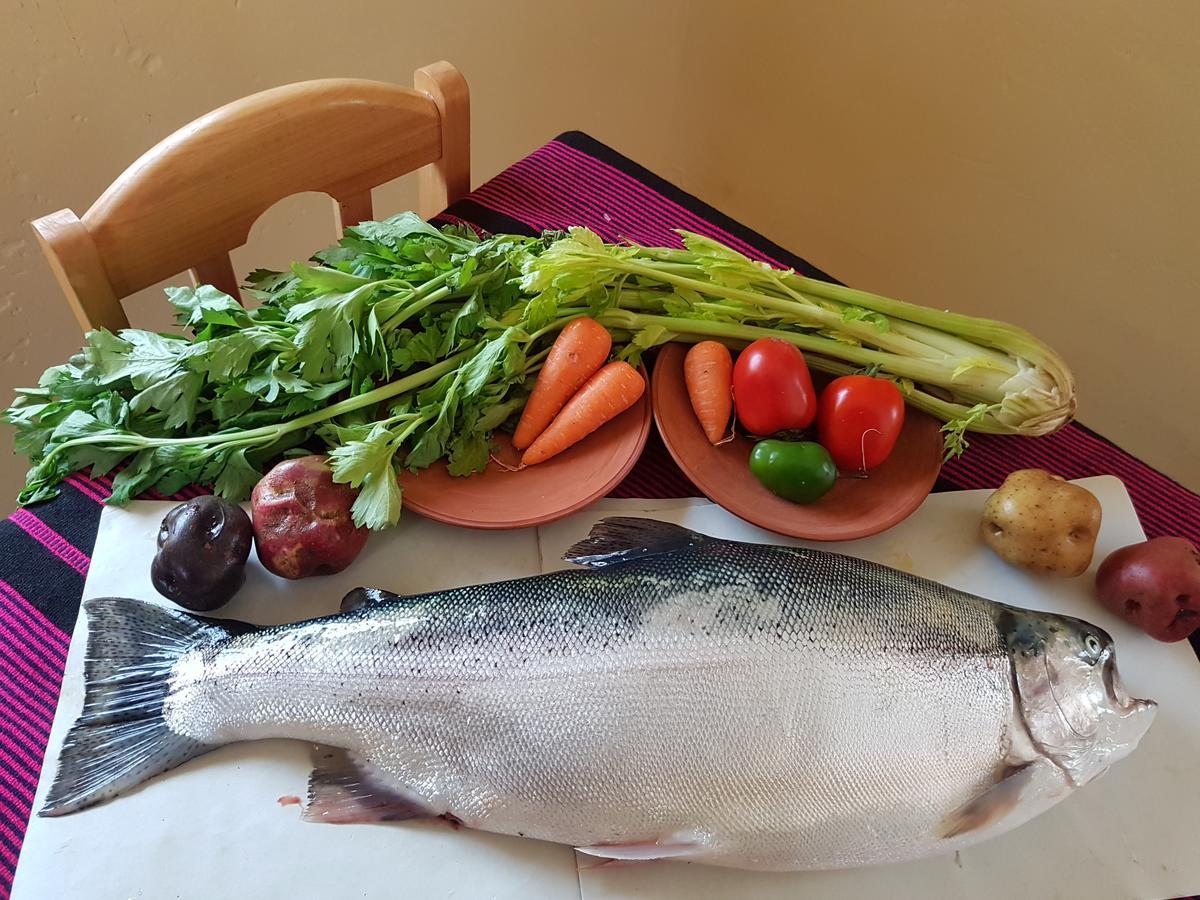 OcosuyoMusqoy Wasi De Gonzalo别墅 外观 照片